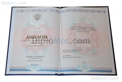 диплом училища, лицея 2014-2024 пермь